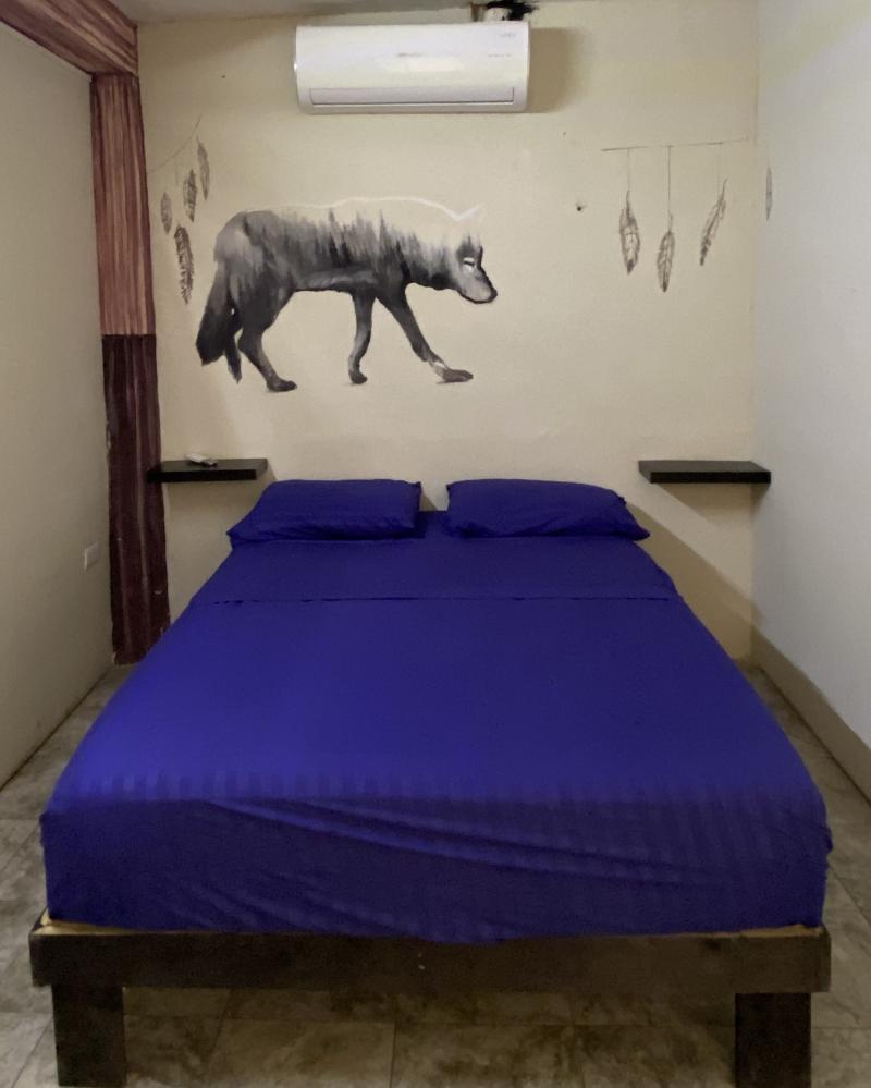 Garra Charrúa image