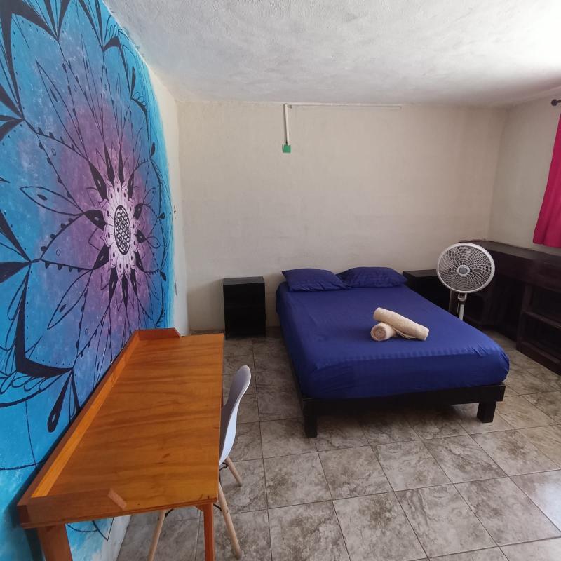 Garra Charrúa image