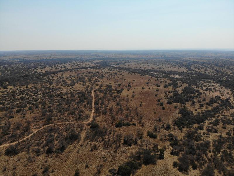 Mziki Safari Lodge image