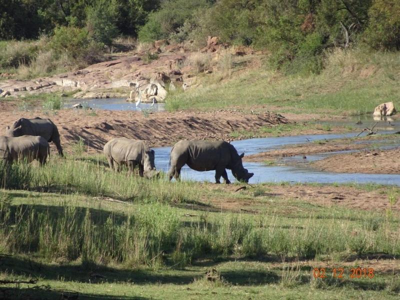 Mziki Safari Lodge image