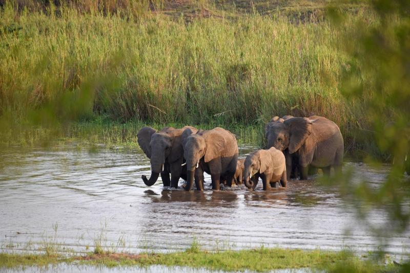 Mziki Safari Lodge image
