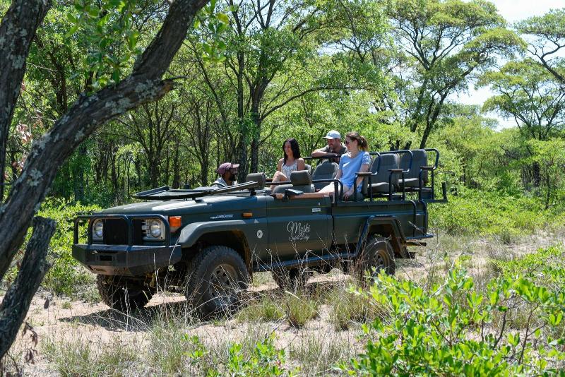 Mziki Safari Lodge image