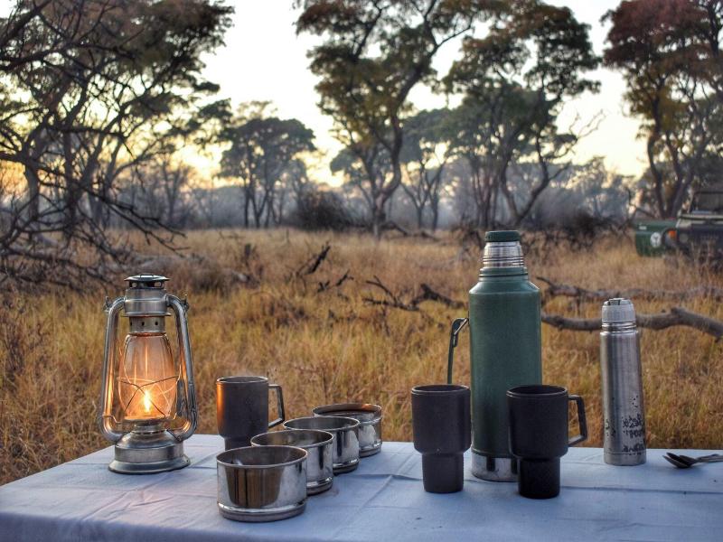Mziki Safari Lodge image