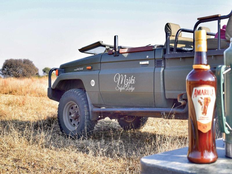 Mziki Safari Lodge image