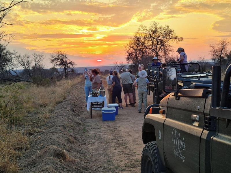 Mziki Safari Lodge image
