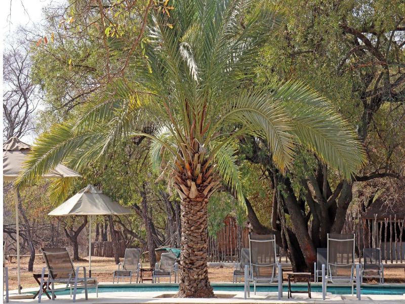 Mziki Safari Lodge image