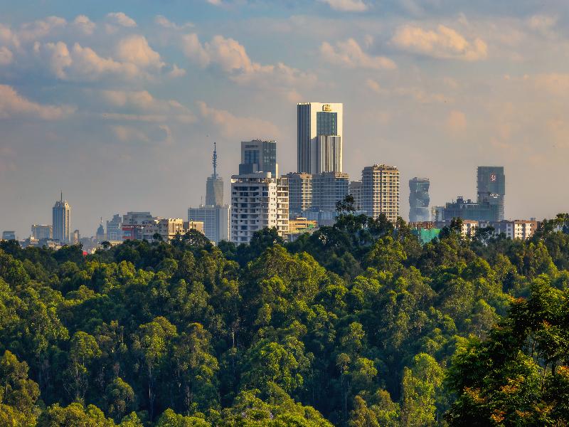 Gem Forest Nairobi-Mgallery Collection image