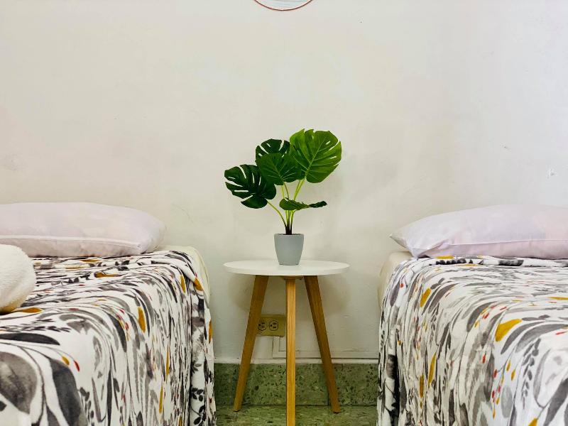 Casa Del Centro image