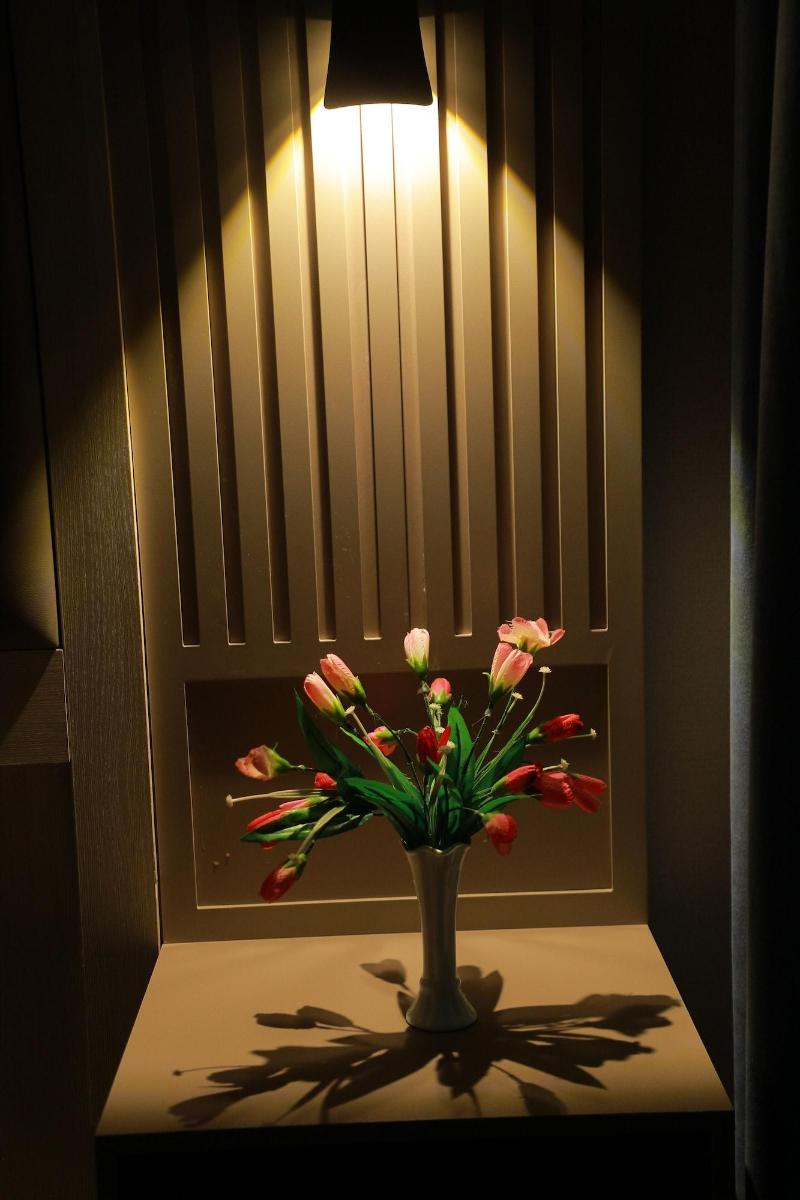 Human Hotel image