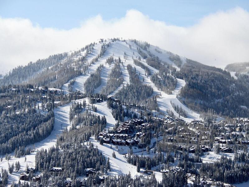 Pioche Village Park City