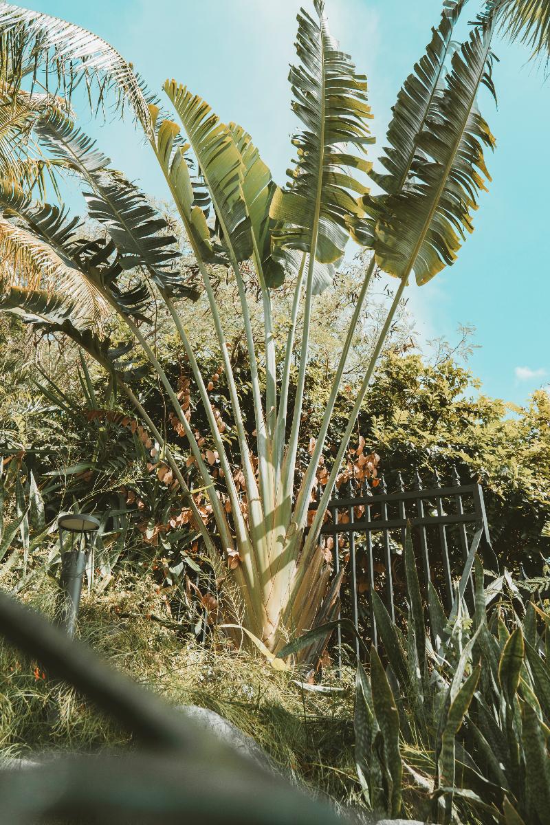 La Villa Hibiscus image