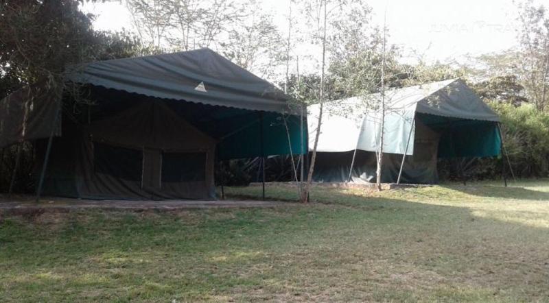 Cactus Eco Camp And Lodge