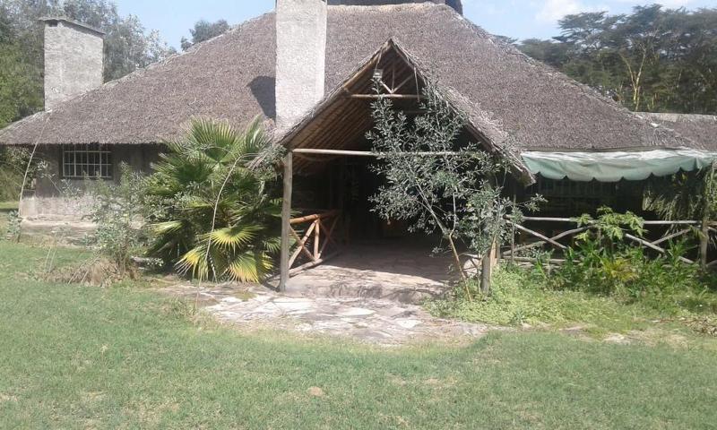 Cactus Eco Camp And Lodge