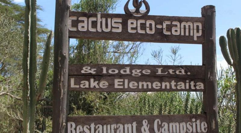 Cactus Eco Camp And Lodge