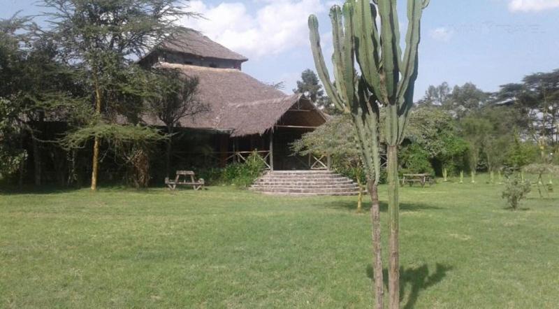 Cactus Eco Camp And Lodge