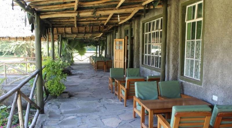 Cactus Eco Camp And Lodge