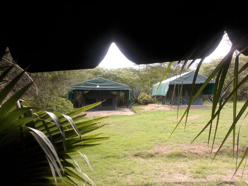 Cactus Eco Camp And Lodge — photo 2