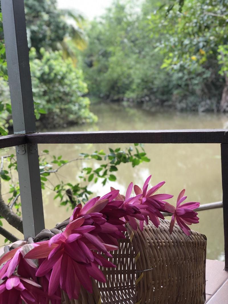 Nha Homestay — photo 2