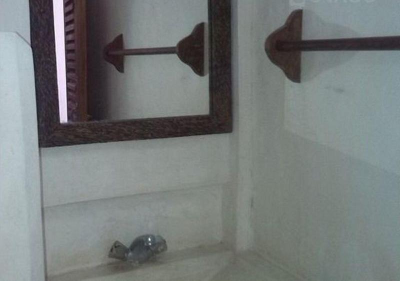 Lamu Sunsail Hotel image