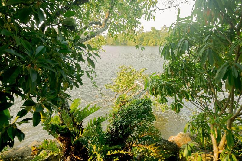 Villa Birdlake image