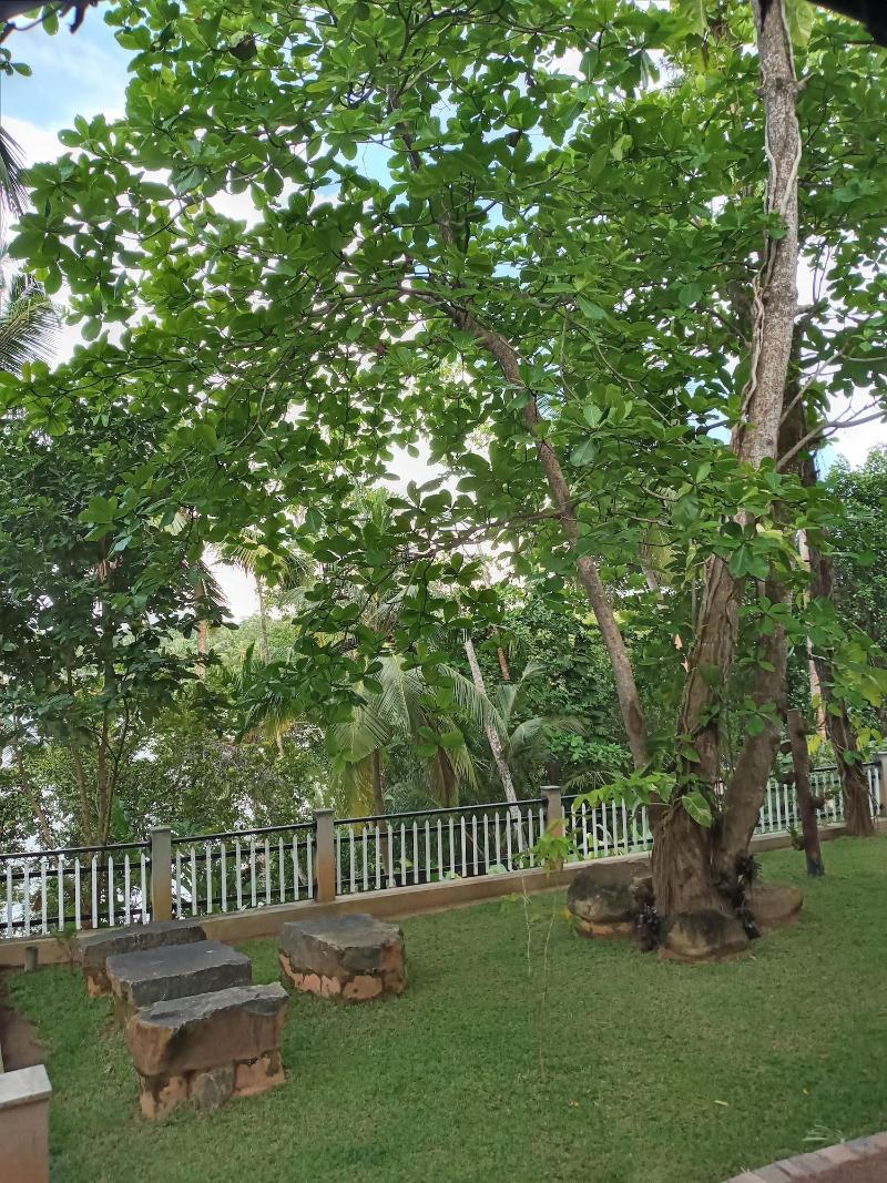 Villa Birdlake image