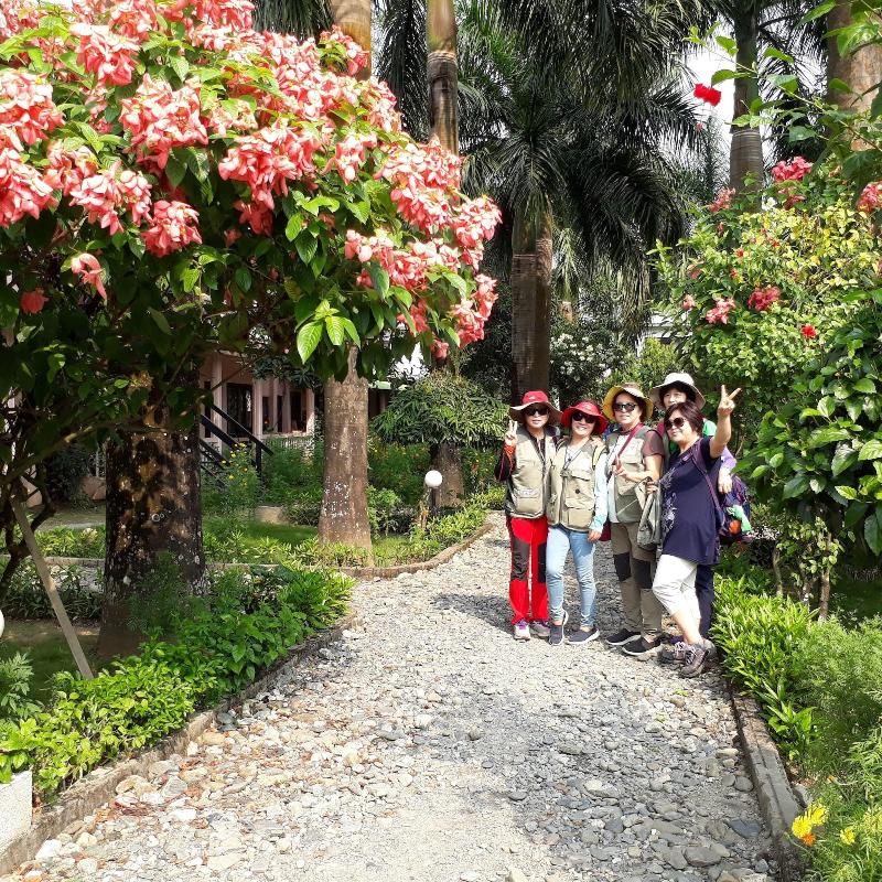 Sauraha Resort image