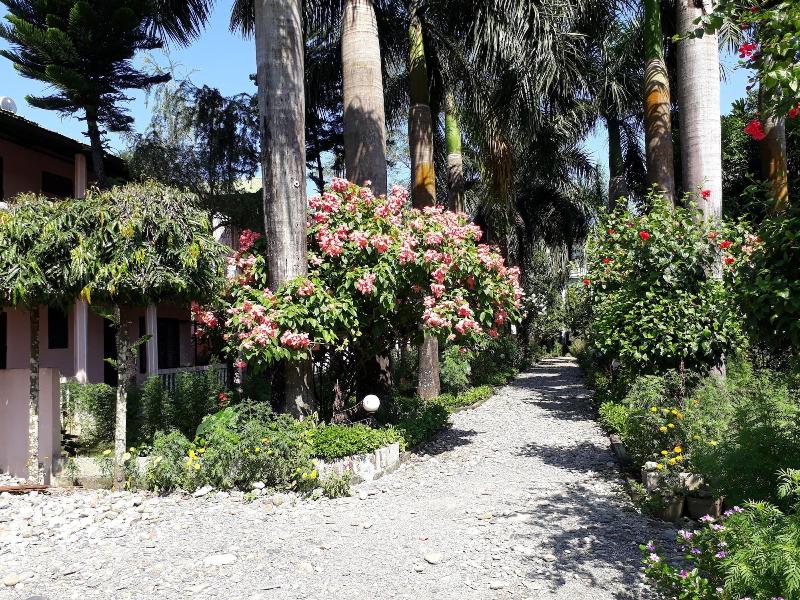 Sauraha Resort image