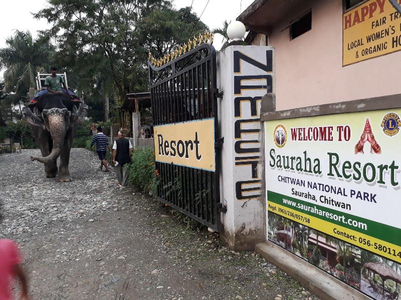 Sauraha Resort image