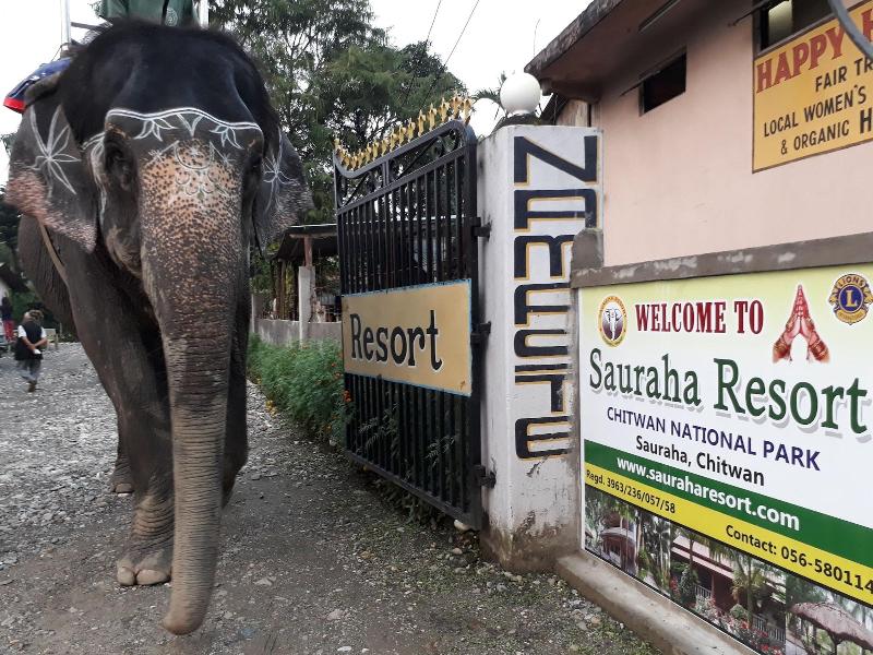 Sauraha Resort image