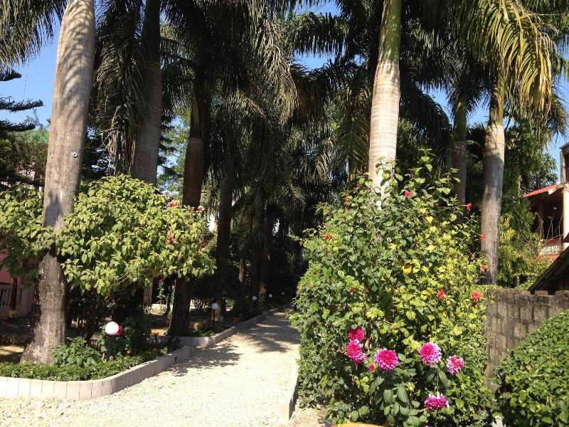 Sauraha Resort image