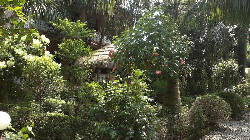 Sauraha Resort image
