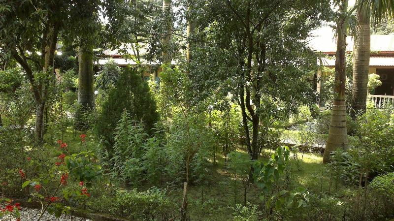Sauraha Resort image