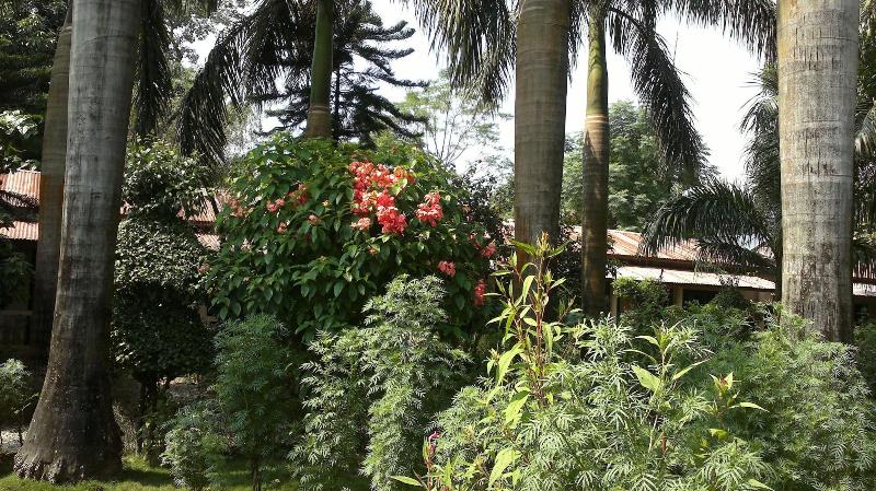 Sauraha Resort image