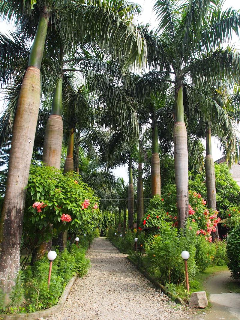 Sauraha Resort image