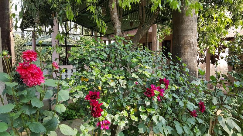 Sauraha Resort image
