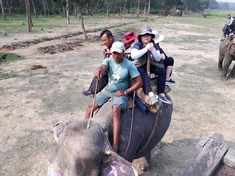 Sauraha Resort image