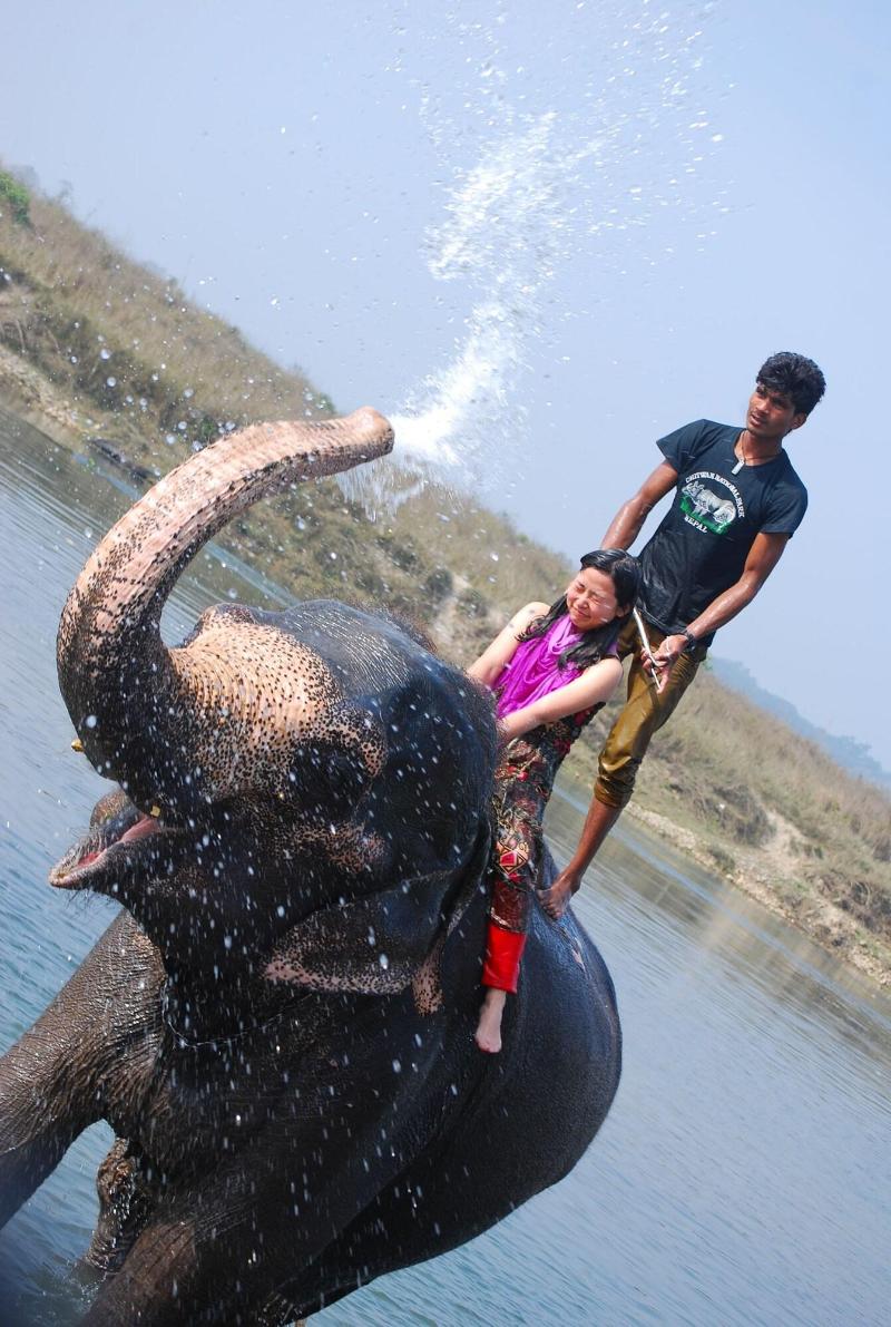 Sauraha Resort image