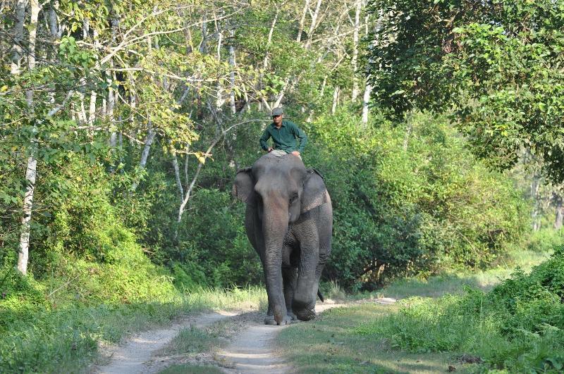 Sauraha Resort image