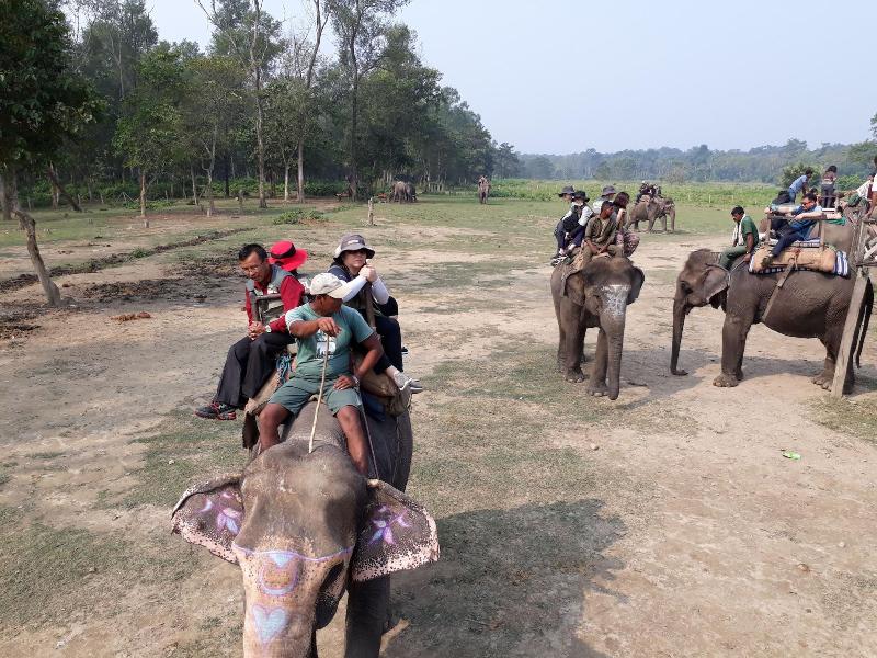 Sauraha Resort image