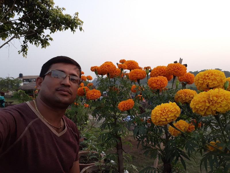 Sauraha Resort image