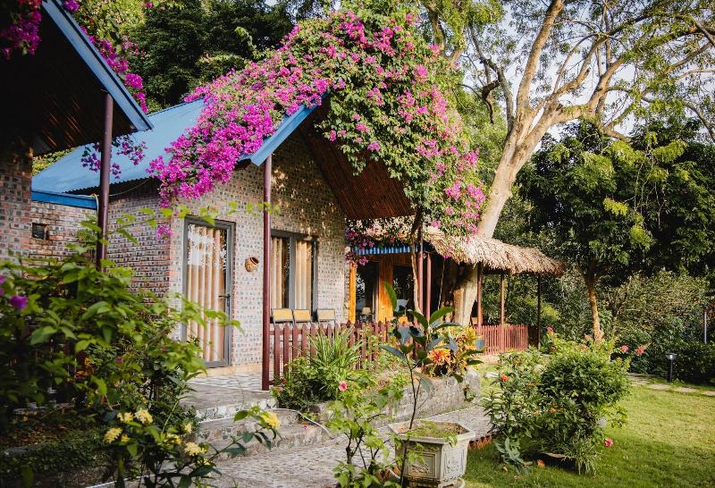 Green Homestay