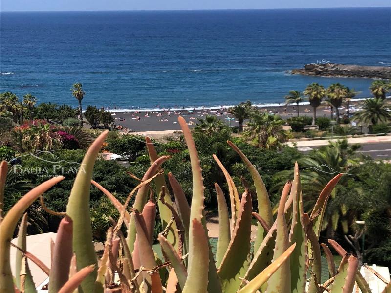 Bahia Playa image