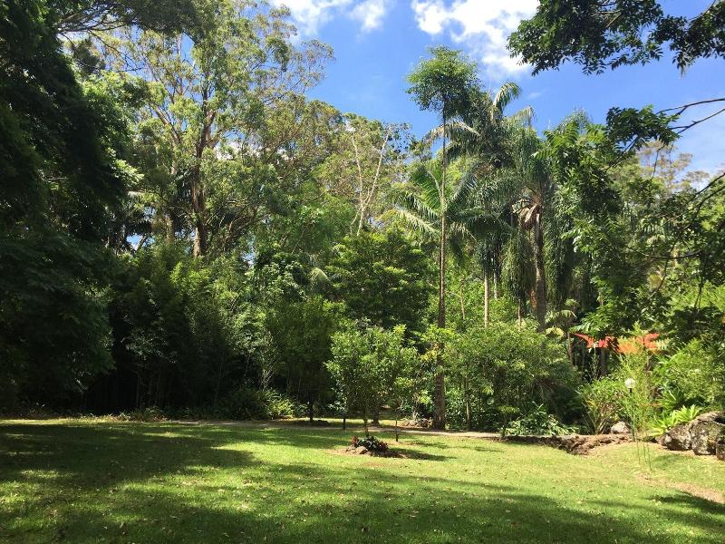 Songbirds Rainforest Retreat image
