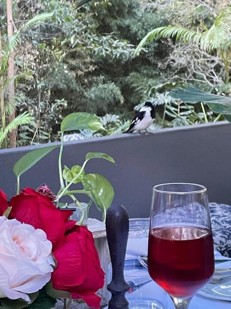 Songbirds Rainforest Retreat image