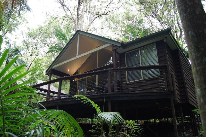 Songbirds Rainforest Retreat image