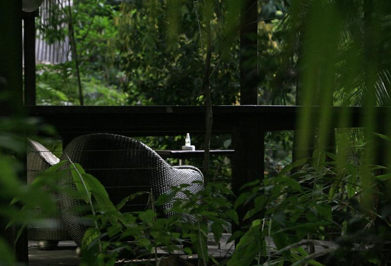 Songbirds Rainforest Retreat image