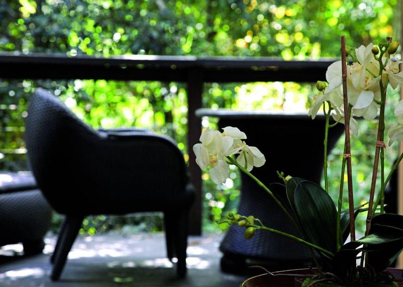 Songbirds Rainforest Retreat image