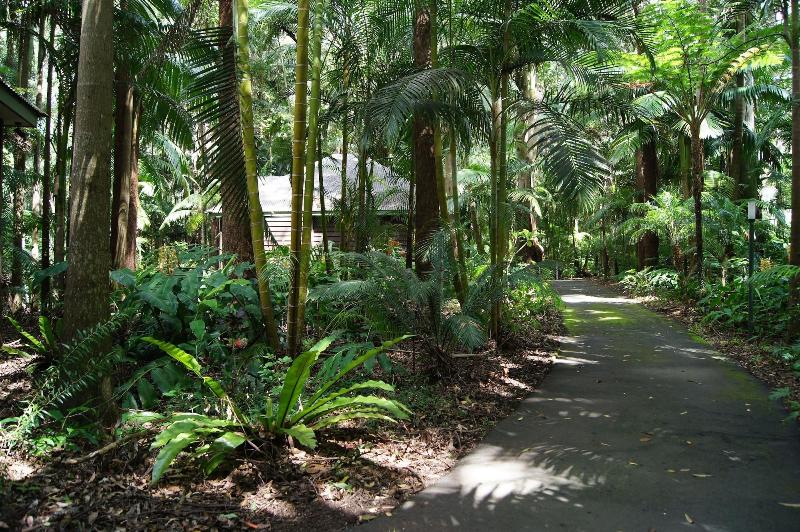 Songbirds Rainforest Retreat image