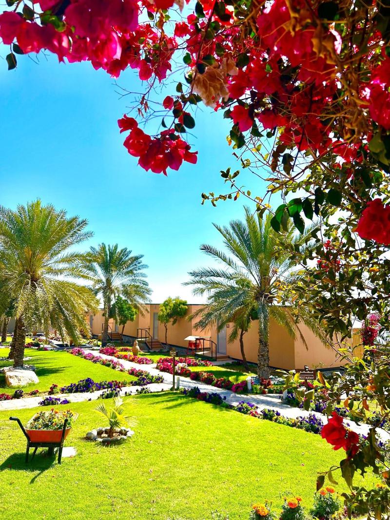 The View image