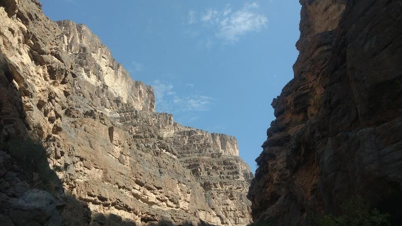 The View image
